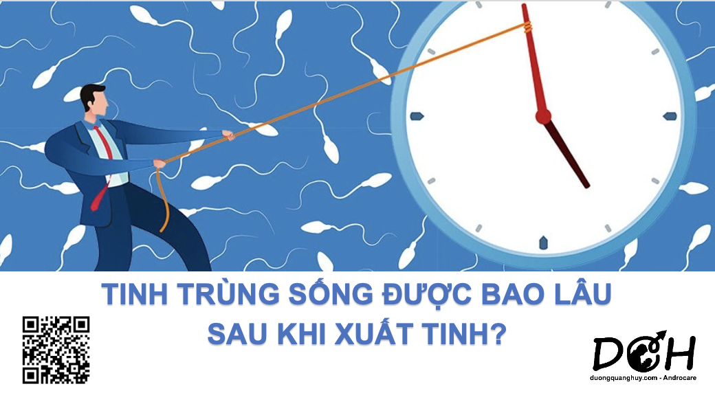 TINH TRÙNG SỐNG ĐƯỢC BAO LÂU SAU KHI XUẤT TINH?